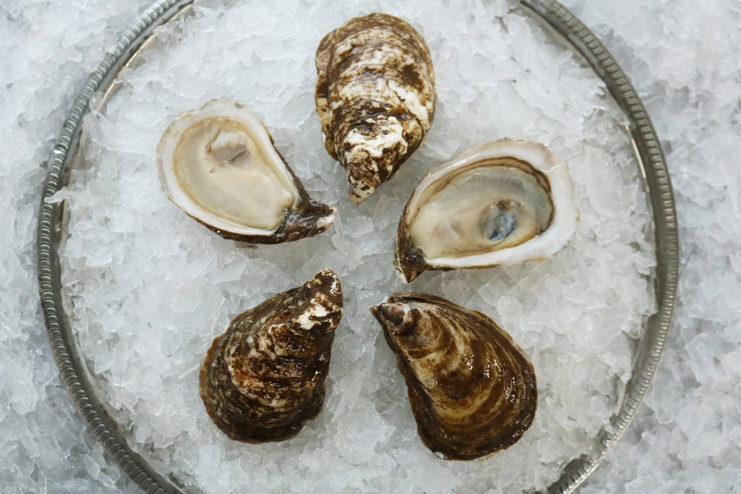 Belle Du Jour Oyster (12 Count)