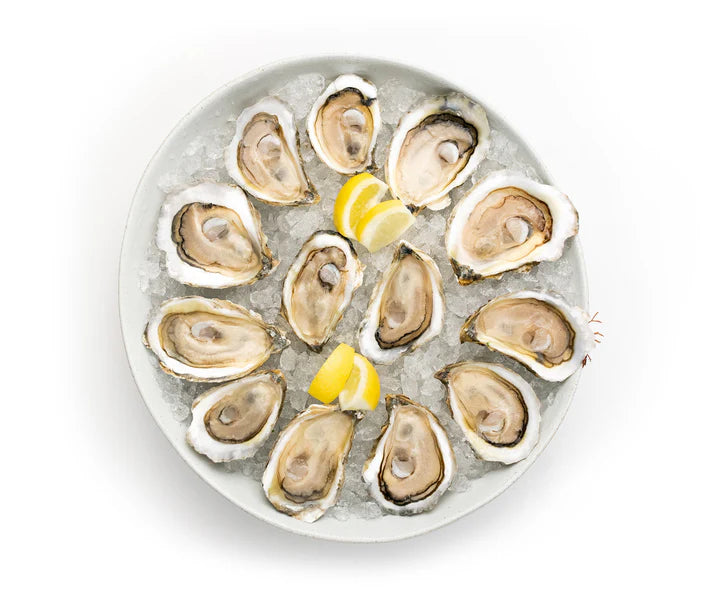Island Creek Oyster (12 Count)