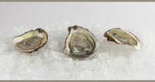 Load image into Gallery viewer, Osprey Point Oyster (12 Count)
